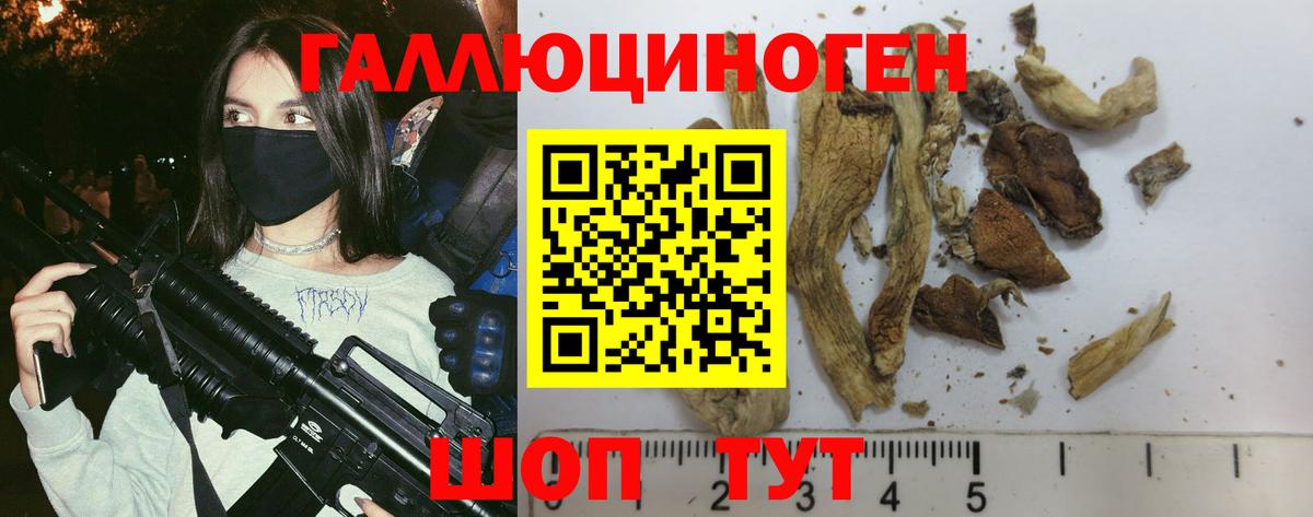 Галлюциногенные грибы Magic Shrooms Вышний Волочёк